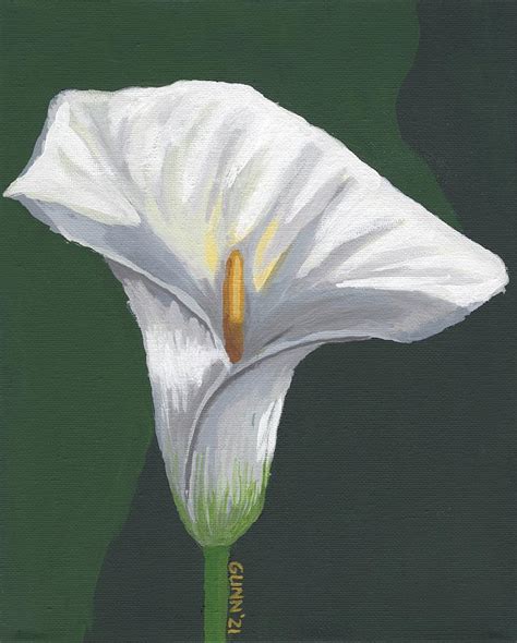 Calla Lily Painting By Katrina Gunn Pixels