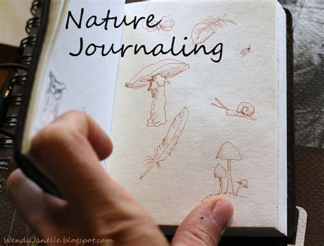 Living Creatively 10 Ways To Vary Your Nature Journal Layouts