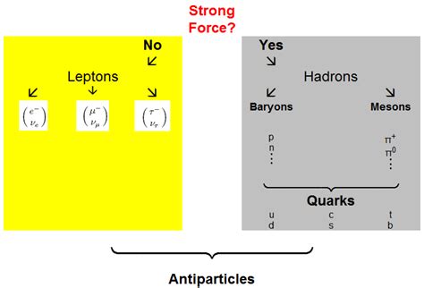 Particle Classification