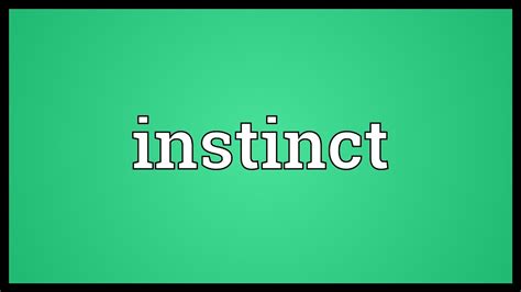 Instinct Meaning Youtube