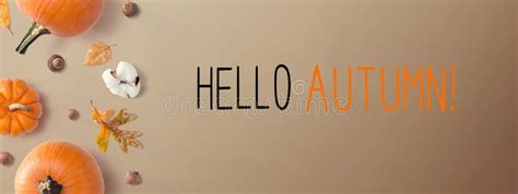 Hello Autumn Message With Autumn Pumpkins Stock Photo Image Of View