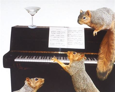 Squirrels Around The Piano Musical Party Card Etsy