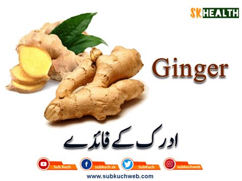Adrak Ke Fayde Ginger Benefits In Urdu And English Home Remedies