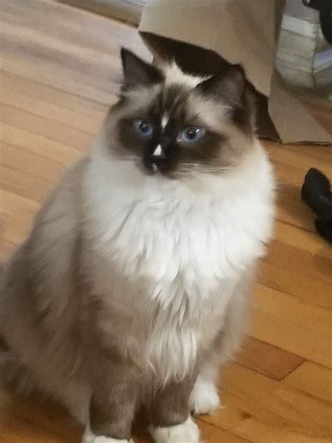My sweet baby : r/JUSTNOMIL