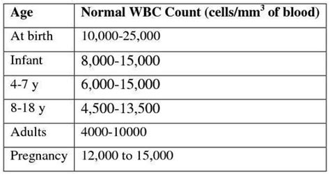High White Blood Cell Count Causes And Treatments