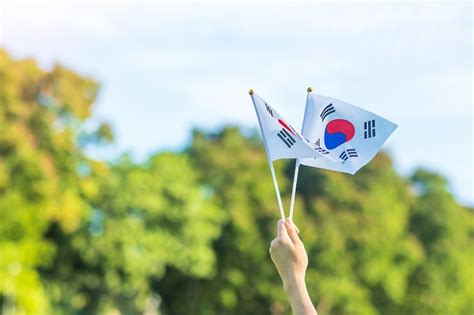 Premium Photo Hand Holding Korea Flag On Nature Background National