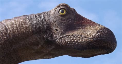 The Life Appearance Of Sauropod Dinosaurs — Tetrapod Zoology