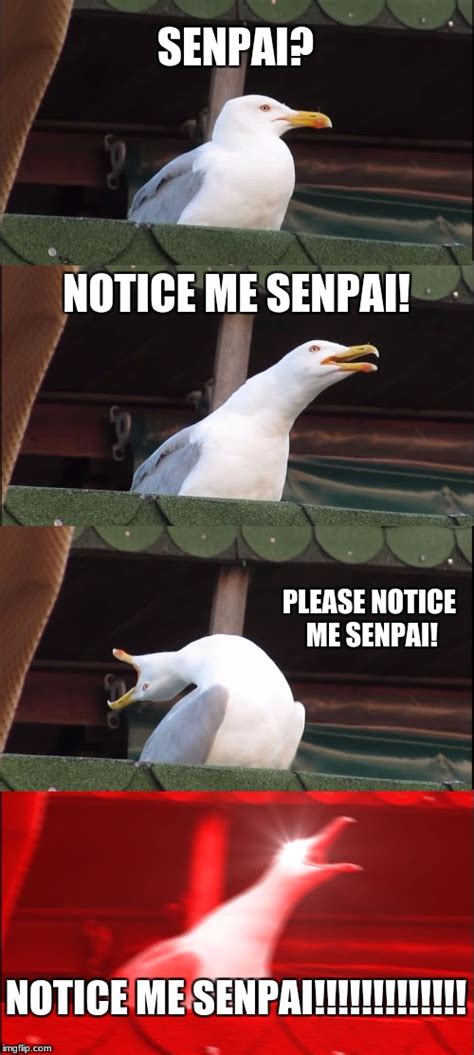 Please Notice Me Senpai Meme