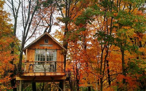 12 Treetop Airbnbs With Breathtaking Fall Foliage Views