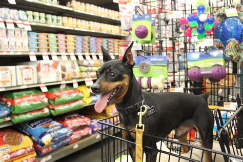 Take The Hassle Out Of Shopping For Your New Pet With Pet Supplies Plus