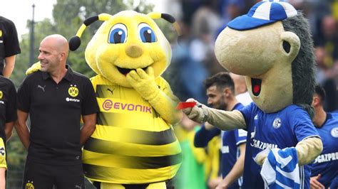 Im stadion kennt ihn jeder: Dortmund oder Schalke: Wer hat das coolere Maskottchen ...