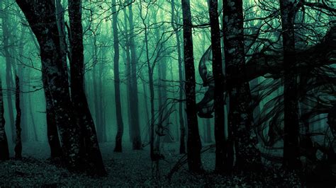 49 Dark Scary Forest Wallpaper Wallpapersafari