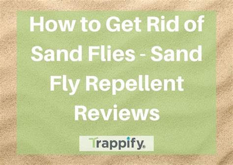How To Get Rid Of Sand Flies Sand Fly Repellent Reviews Trappify