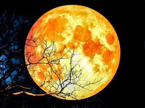 Full blood moon and moonlight on river. Blood red super moon will rise on January 31