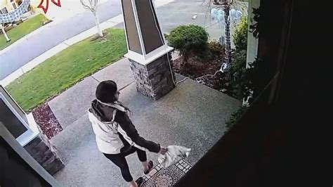 Homeowners Fight Back Against Thieves Stealing Packages From Porches Video
