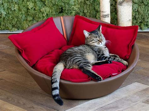 Luxury Leather Mila Cat Bed Chelsea Cats