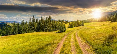 Path Through Meadow To Forest In Mountain At Sunset Stock Photo Image