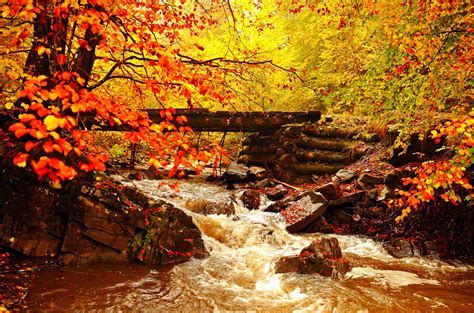 Natural Bridge And Stream In Autumn Forest 4k Ultra Hd Wallpaper