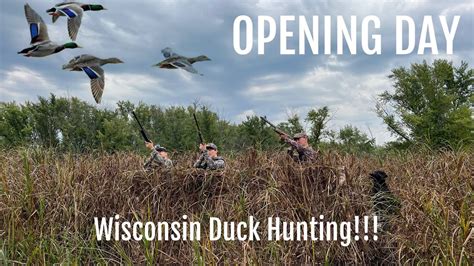Wisconsin Duck Hunting 2023 Opening Day On Public Land Youtube