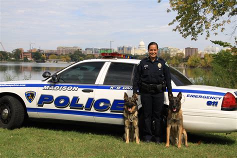 Madison, WI PD K9s Slim and Falko capture Armed Robbery suspect