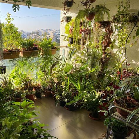 Transform Your Apartment Balcony Into A Lush Green Garden Vimlapatil
