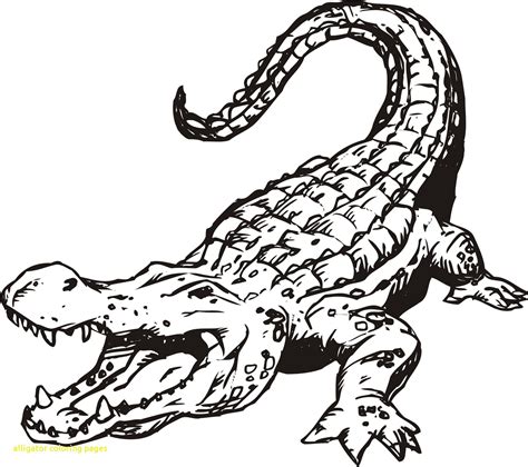 American Alligator Coloring Page At Free Printable