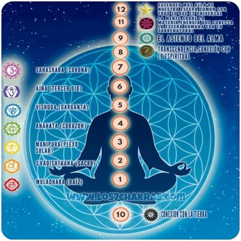 Los 12 Chakras Del Cuerpo Humano ¡nuestra Conexión Con El Universo Los Chakras Chakras