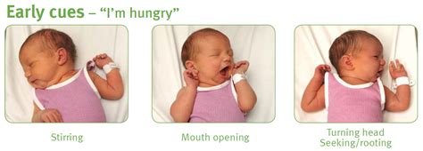 Signs Newborn Is Hungry
