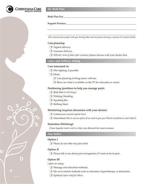Simple Birth Plan Template Awesome 47 Printable Birth Plan Templates