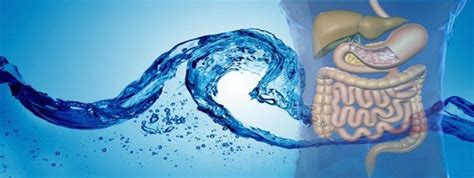 Colon Hydrotherapy What You Need To Know Chicago Tribune