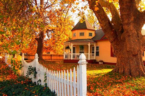 Download Leaf Tree Fall Fence Architecture Orange Color Man Made