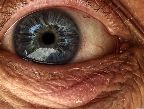 Close Up Photography Of Eyes Pixshark Com Images Galleries With