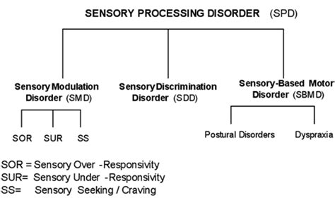 Sensory Processing Disorder Types And Definition Otsimo