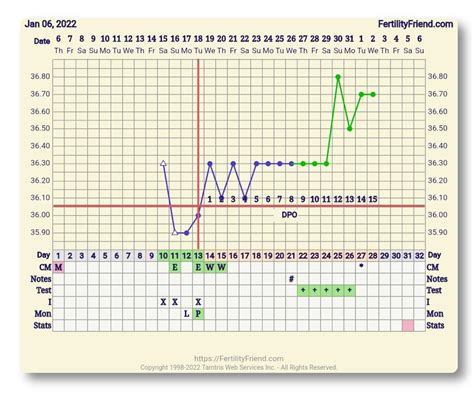 Bfp First Month Charting Been Ttc For Over 1 Year Excited Im