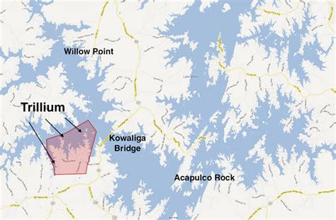 Contact amy at 256.749.3333 or todd at 256.749.2102. Trillium - Lake Martin Voice - Lake Martin Real Estate ...