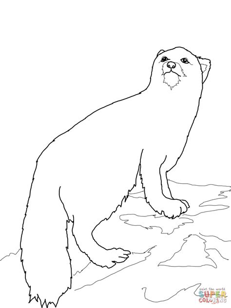 Arctic Coloring Sheets Coloring Pages