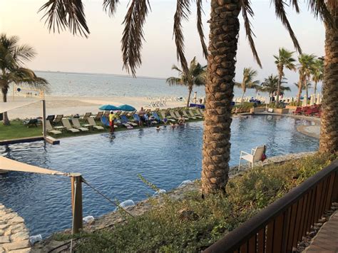 Pool Ja Palm Tree Court Dubai Holidaycheck Dubai Vereinigte