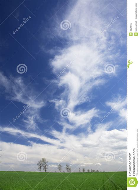 Green Field Blue Skies White Clouds In Spring Stock Image Image Of