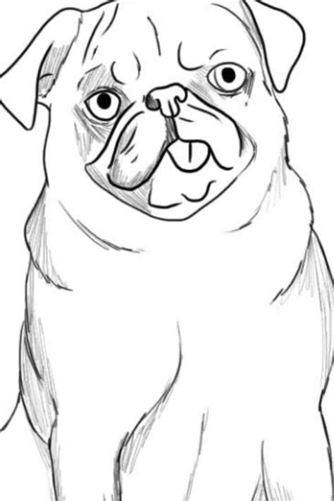 Easy To Draw Pug That I Drew Dog Face Drawing Pug Art Drawings