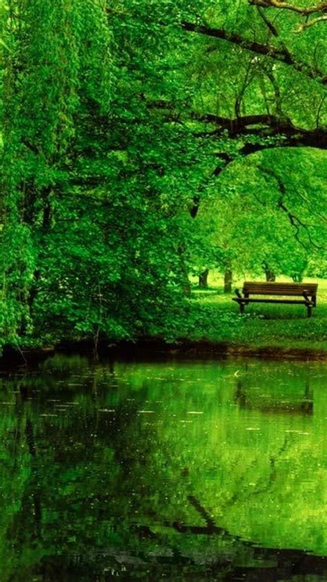 34 Iphone Green Nature Hd Wallpapers