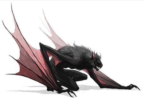 Werebat Creature Concept Art Fantasy Beasts Mythical Creatures