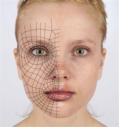 3d Reference Face Loops By Athey On DeviantART Face Anatomy Anatomy