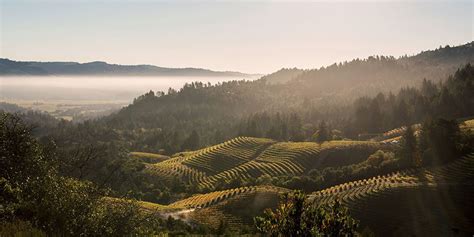 Gorgeous Napa Valley Wineries For World Class Sipping And Scenery