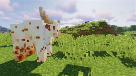 What kind of mobs the mod add? Animania mod 1.12.2 for Minecraft - dozens of new animals