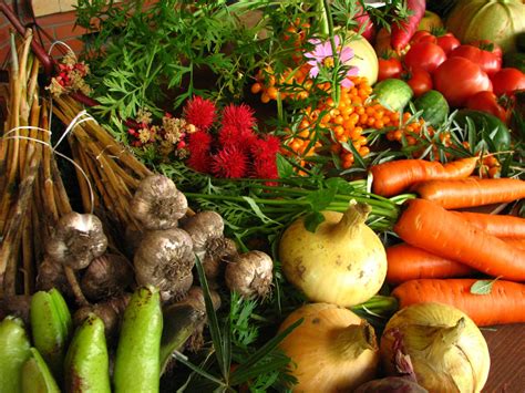 Benefits of Organic Foods - North Coast Tip Jar