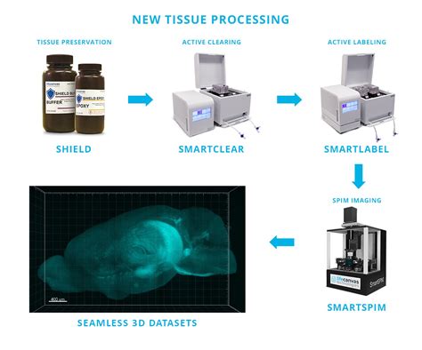 Tissue Processing In The 21st Century How Can I Incorporate Innovative