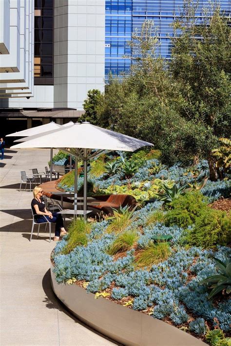 Cedars Sinai Plaza Healing Gardens By Ahbe Landscape Architects