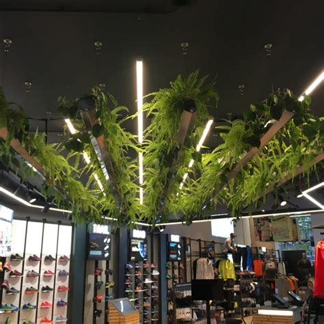 Asics Suspended Ceiling Planting Suspended Ceiling Design Hang