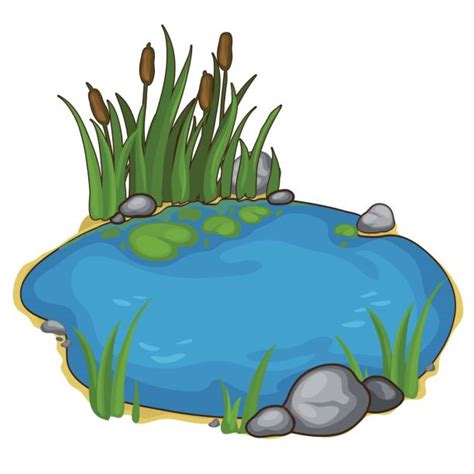 Pond Illustrations Royalty Free Vector Graphics And Clip Art Istock