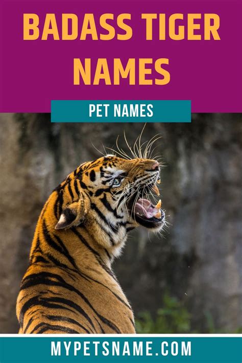 Pin On Strong Pet Names